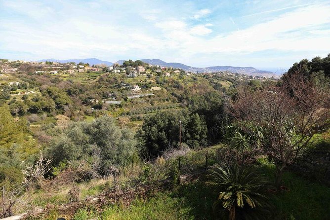 3-Course Organic Dinner in Garden with Views of French Riviera - Wine included, BYOB option, and how to keep it enjoyable