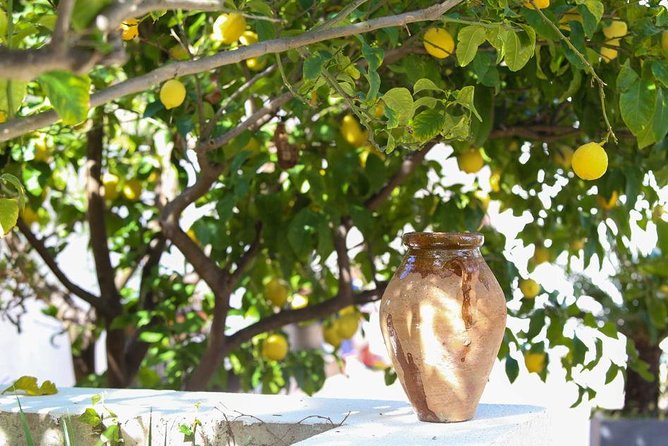 3-Course Organic Dinner in Garden with Views of French Riviera - Dietary needs and allergies: what you must tell the host