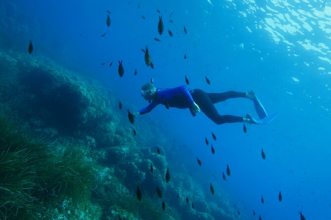 Boat trip and snorkeling in Villefranche - sur - Mer - From Nice Harbor to Villefranche Bay: the flow that makes this work