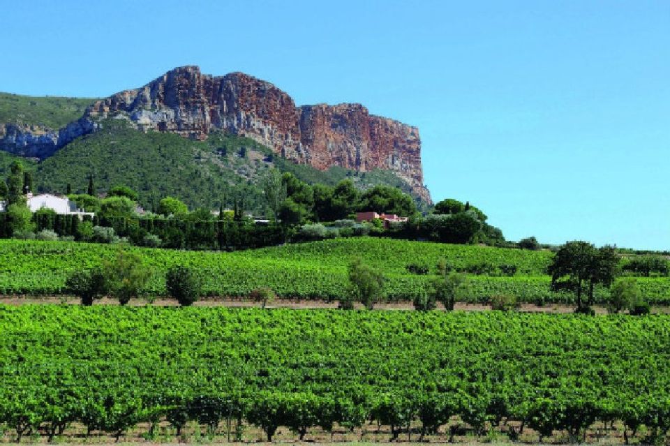Calanques of Cassis, Aix-en-Provence & Wine Tasting Day Tour - Key things to know before you go