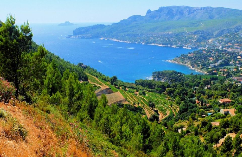 Calanques of Cassis, Aix-en-Provence & Wine Tasting Day Tour - Cassis, the fishing port vibe, and calanques views on your terms