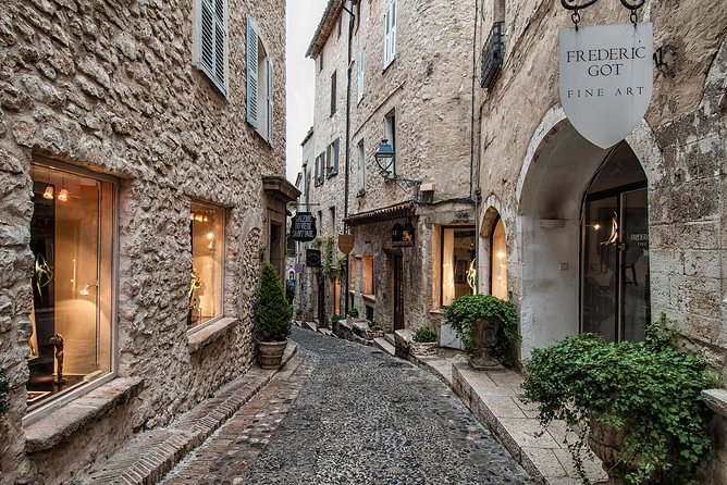 Cannes, Antibes & St Paul de Vence Half Day Shared Tour from Nice - The van experience: guide approach and how to manage expectations