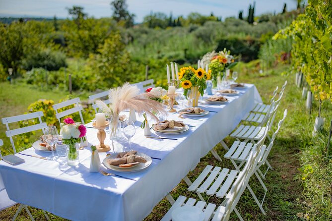 Dinner in the Vineyard French Riviera - Quick highlights