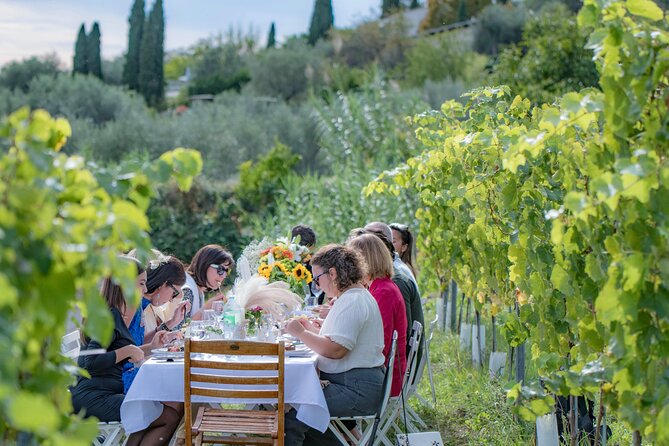 Dinner in the Vineyard French Riviera - Inside the Vineyard Grounds: Cave Visit, Olive Trees, and a Short Walk