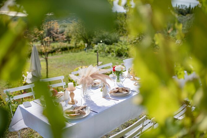 Dinner in the Vineyard French Riviera - Maria and the Three-Course Meal: What Dining in the Vines Feels Like