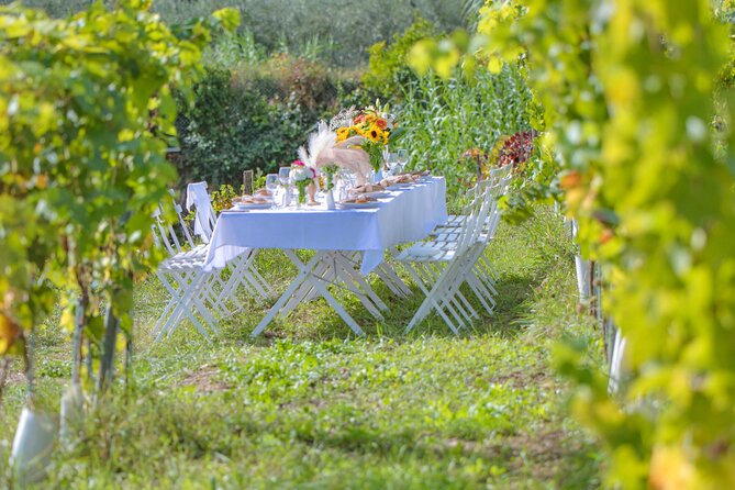 Dinner in the Vineyard French Riviera - The Scenery and Timing: What to Do Before You Arrive