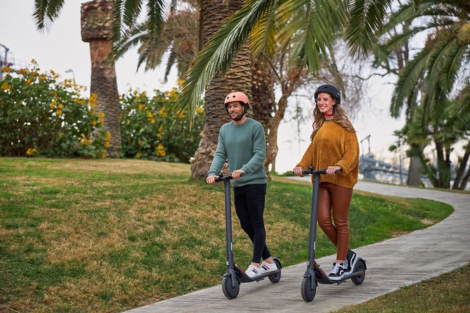 Electric Kick scooter Rental in Nice - Quick hits before you rent in Nice