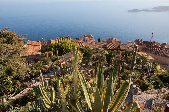 Eze Monaco Monte Carlo - Le Jardin Exotique d’Eze: The Extra Ticket You Should Plan For
