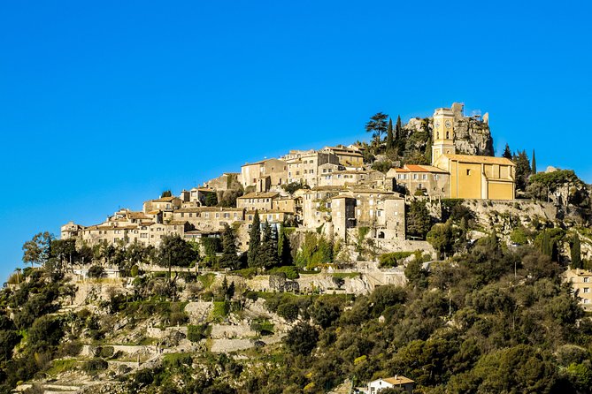 Eze, Monaco & Monte-Carlo Private Full-Day Tour - Oceanographic Museum: Worth It, But Plan for the Extra Ticket