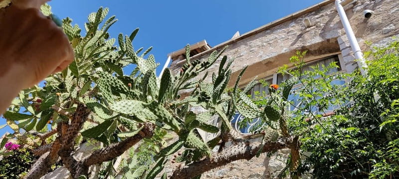 Èze: Walking Tour with a Local Guide - So should you book Èze with a local guide?