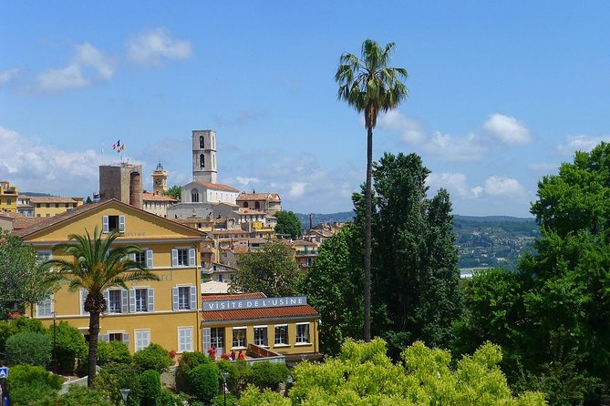 Flavors & Tastes of Provence , Shared & Guided 1/2 Day from Nice - What to expect from the guide and driver