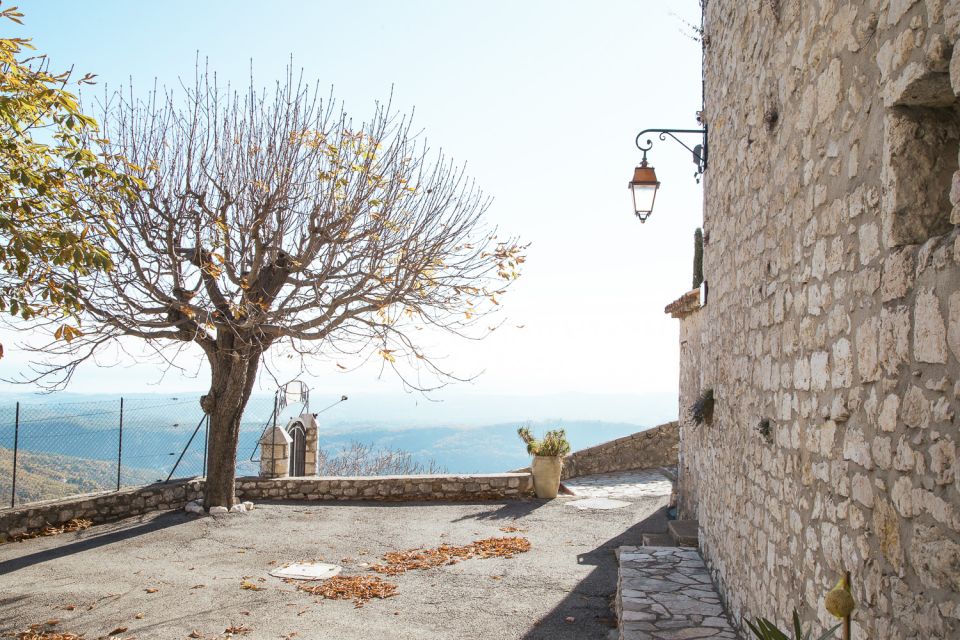 French Riviera and Provence Private Day Trip - Food, timing, and the reality of a packed 9 hours