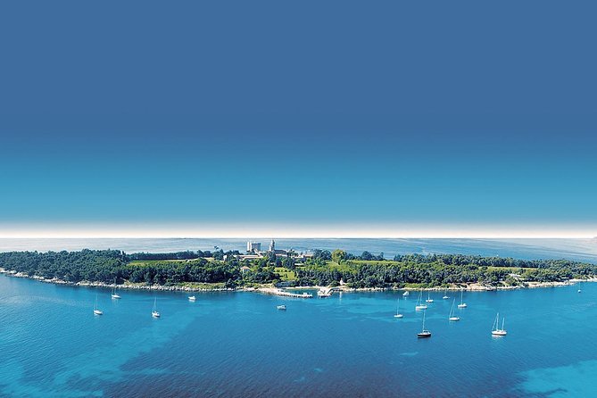 French Riviera Full or Half Day Private Tour with a Qualified Guide Driver - Quick hits before you go