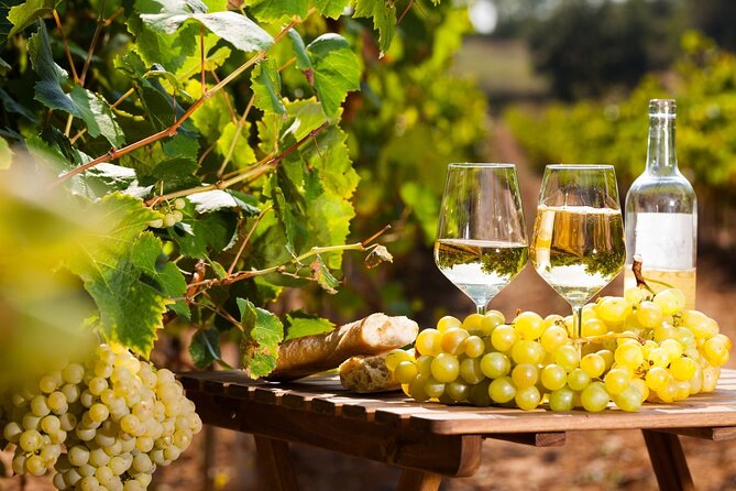 French Riviera, Wine tasting, Provencal market and Countryside - A Nice-to-Provence route that’s easy on your feet