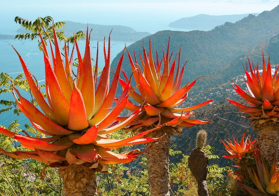 From Nice: Eze, Monaco, and Monte Carlo Half-Day Trip - Monte Carlo hotels and luxury boutiques: where the glamour time actually fits