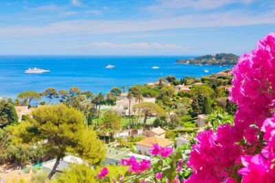 From Nice: French Riviera Full-Day Tour - Eze Village: Panoramas that make the morning worth it