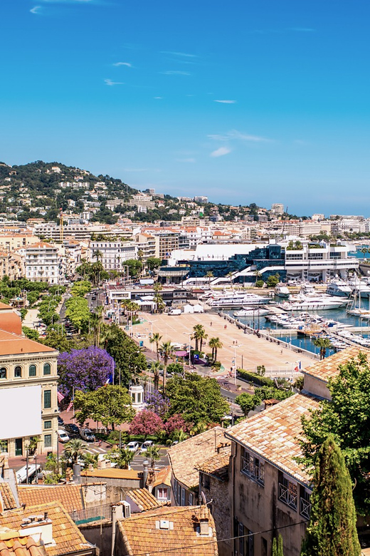 From Nice: Full-Day Best of the Riviera - The coast between towns: scenic drives and how to use them