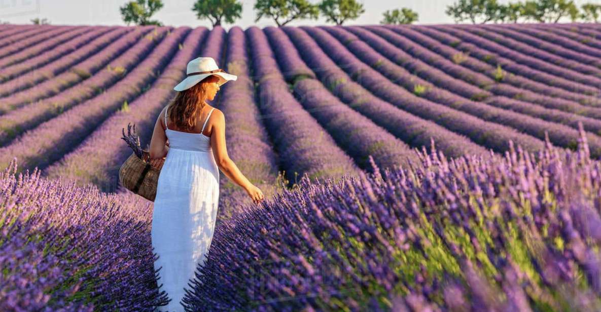 From Nice: Full-Day Provence and Lavender Tour - Verdon Gorge views: the scenic drive part you don’t want to rush