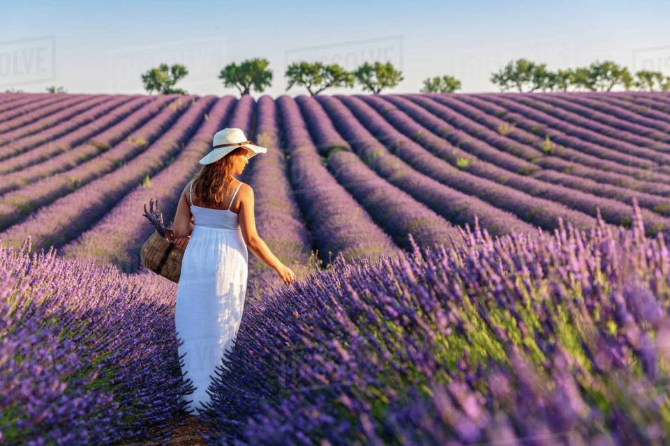 From Nice: Full-Day Provence and Lavender Tour - Lac de Sainte-Croix: lake time under the Gorges du Verdon
