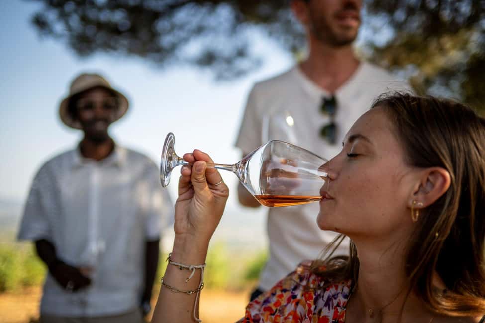 From Nice: Provence Wine Full-Day Tour - Price and value: is $211 worth it?