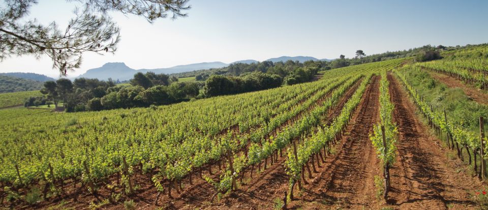 From Nice: Provence Wine Full-Day Tour - How the pairing mini-masterclass makes the day worth more