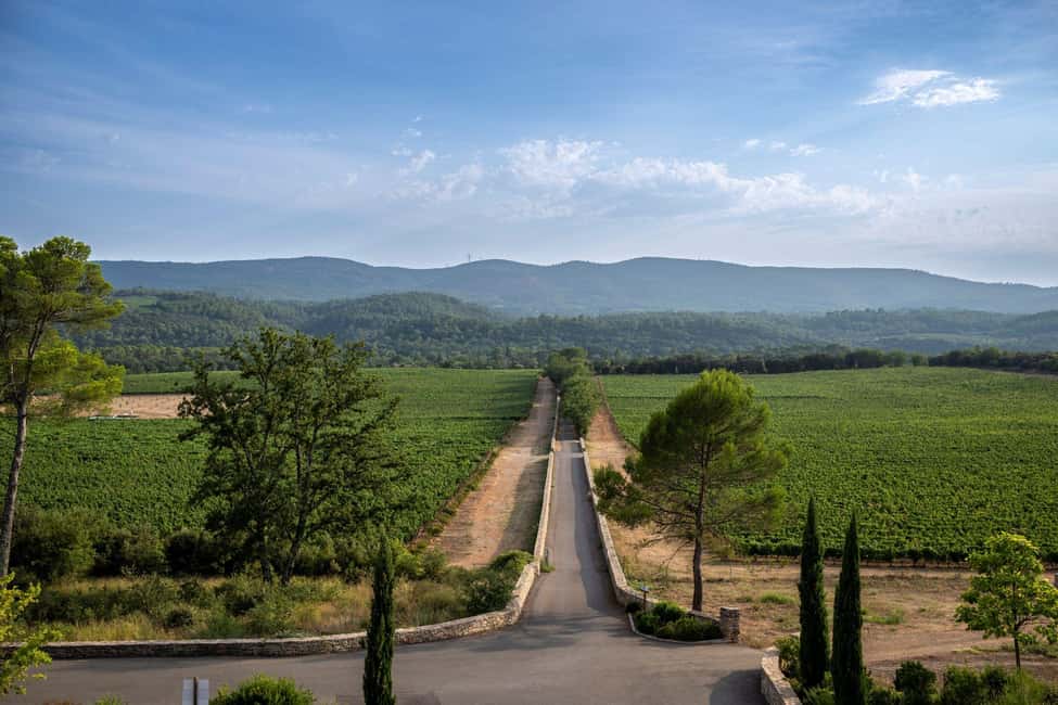 From Nice: Provence Wine Full-Day Tour - Transportation, timing, and how to plan your day in Nice