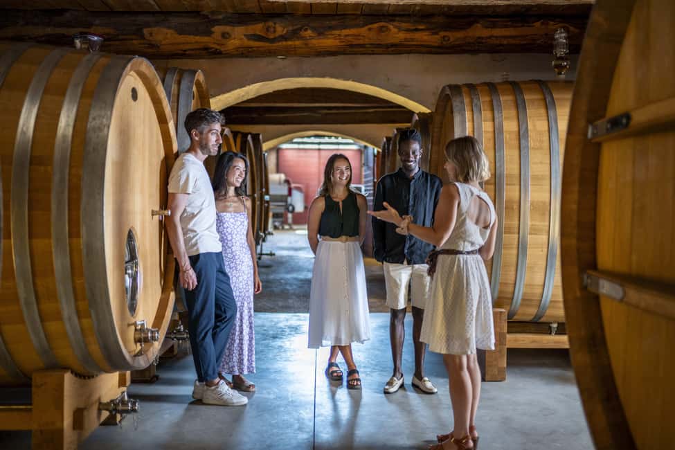 From Nice: Provence Wine Full-Day Tour - Stop 1: A two-thousand-year château and the first tasting lesson