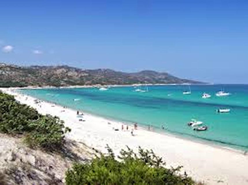 From Nice: Saint-Tropez and Port Grimaud Tour - Walking the “Jet Set” Feel Without Losing Your Head