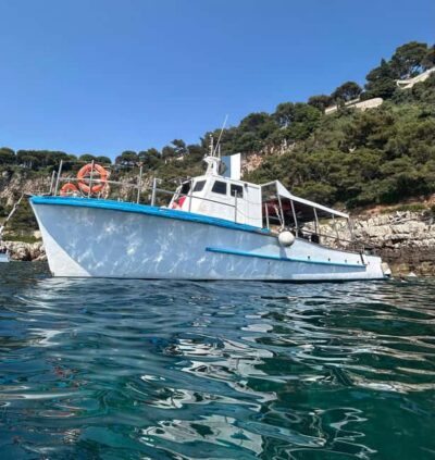 From Nice: Villefranche Bay Swimming & Snorkeling Boat Tour - Nice to the Riviera Views: The Cruise Segment You Shouldn’t Skip