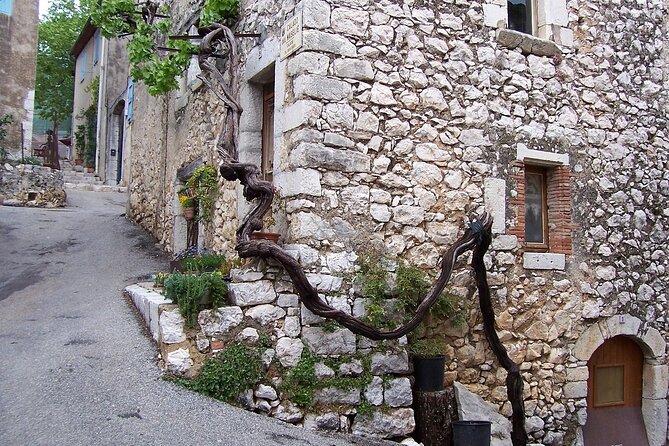 Full day Guided Tour: Cannes, Antibes, St Paul de Vence from Nice - The Croisette walk: palms, beaches, and luxury lines