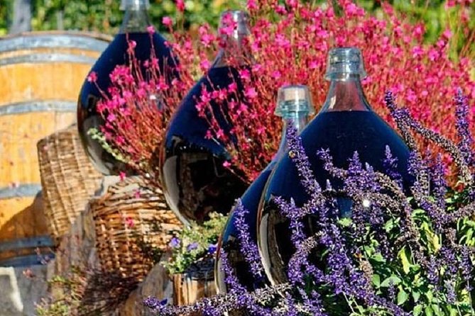 Half-Day Wine Tasting and Saint Paul de Vence Tour from Nice - What You Actually Get: Included Wine, Free Time, and the “Half-Day” Reality