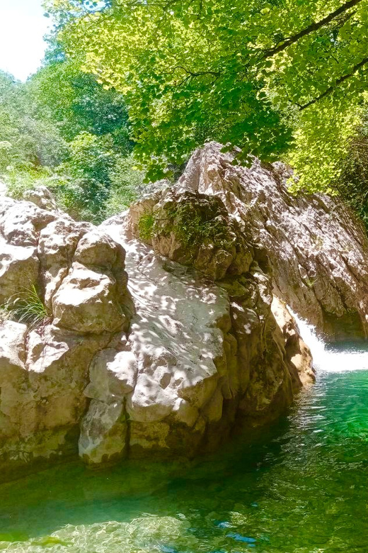 Mountain Train Experience: Hike & Mystic Forest (From Nice) - Key highlights worth caring about