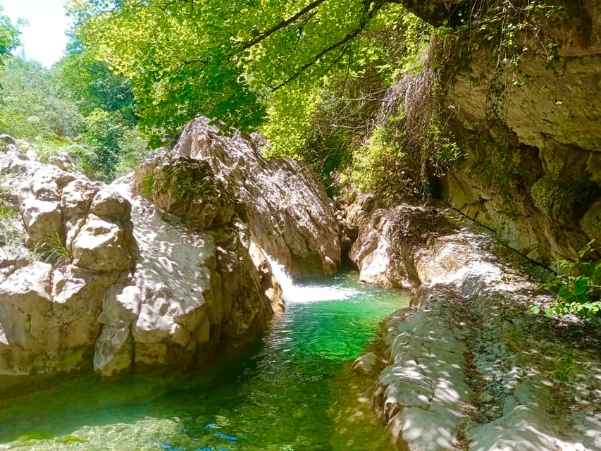Mountain Train Experience: Hike & Mystic Forest (From Nice) - Starting in Nice: the early meeting that makes the day work