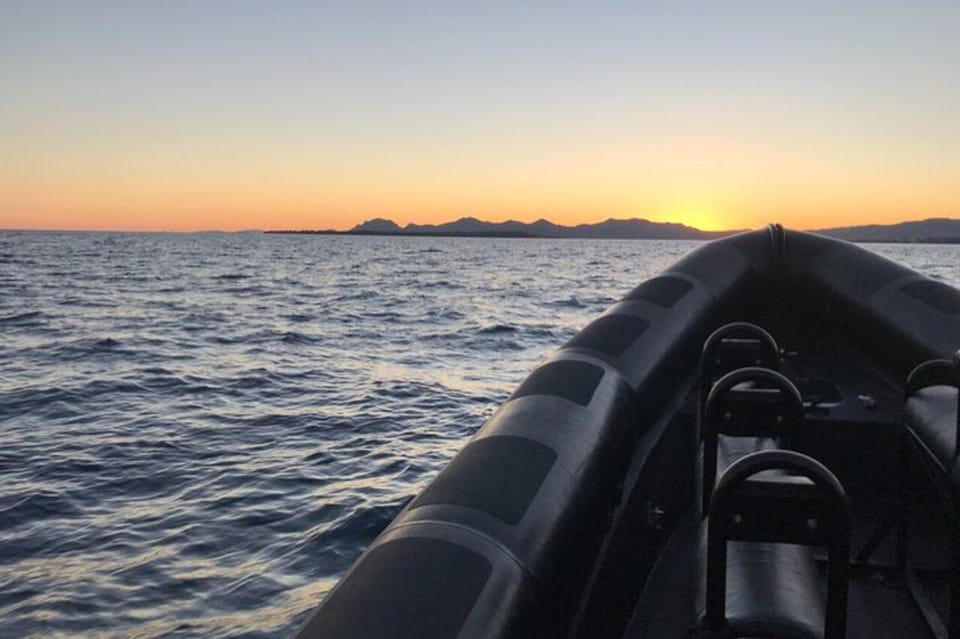 Nice: 1h30 nautical excursion to Cap Ferrat - Price, timing, and logistics: making this fit your Nice itinerary