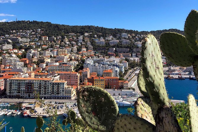 Nice City Best Highlights E-bike Tour - Port Lympia marina: the calm after the climb