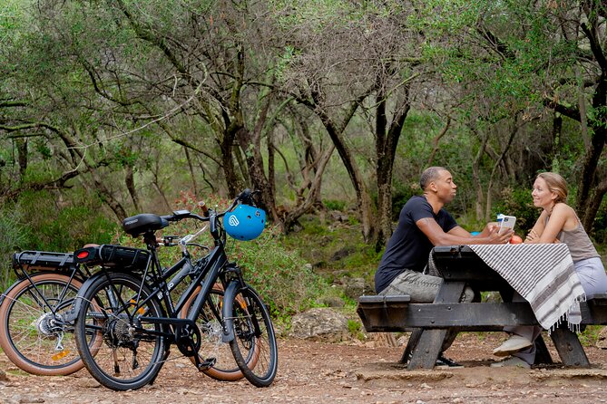 Nice Electric Bike Rental - Pedego Power: Five Speeds and a 60 km Target You Can Actually Use