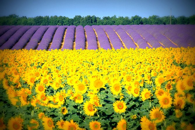 Nice: Gorges of Verdon and Fields of Lavender Tour - Moustiers-Sainte-Marie: ceramics, terraces, and a cliff-backed feel