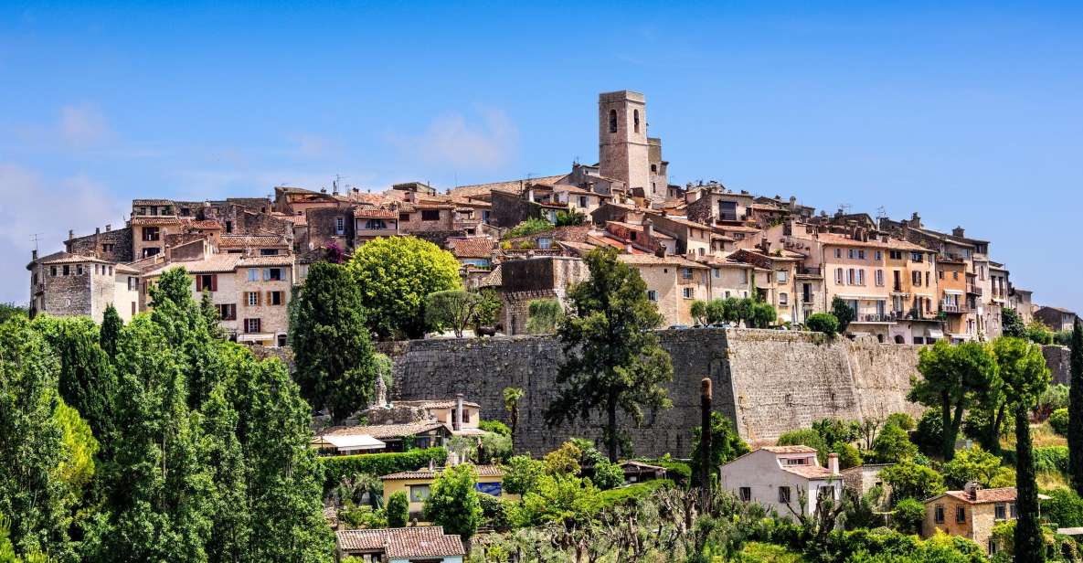 Nice: Half-Day Saint Paul de Vence and Wine Tasting Tour - Provence Grape Variety Lesson: Syrah, Grenache, and Friends
