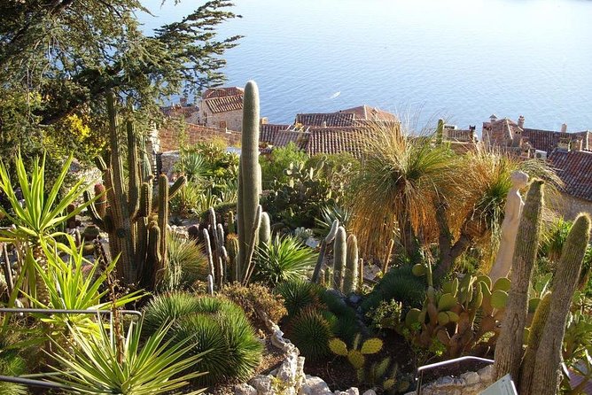 Nice: Italian Market, Eze, and Turbie Tour. - Guide Makes the Day: The Human Factor in Eze and Beyond