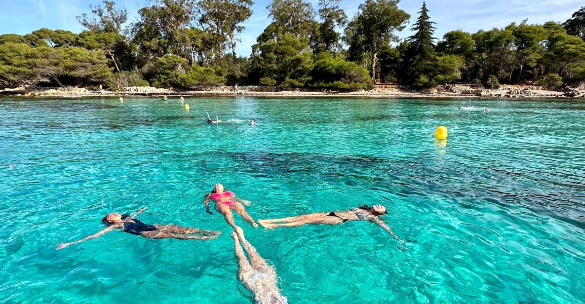 Nice: Lerins Islands Boat Tour with Snorkeling - Sainte-Marguerite Island: 1.5 hours to wander your own way