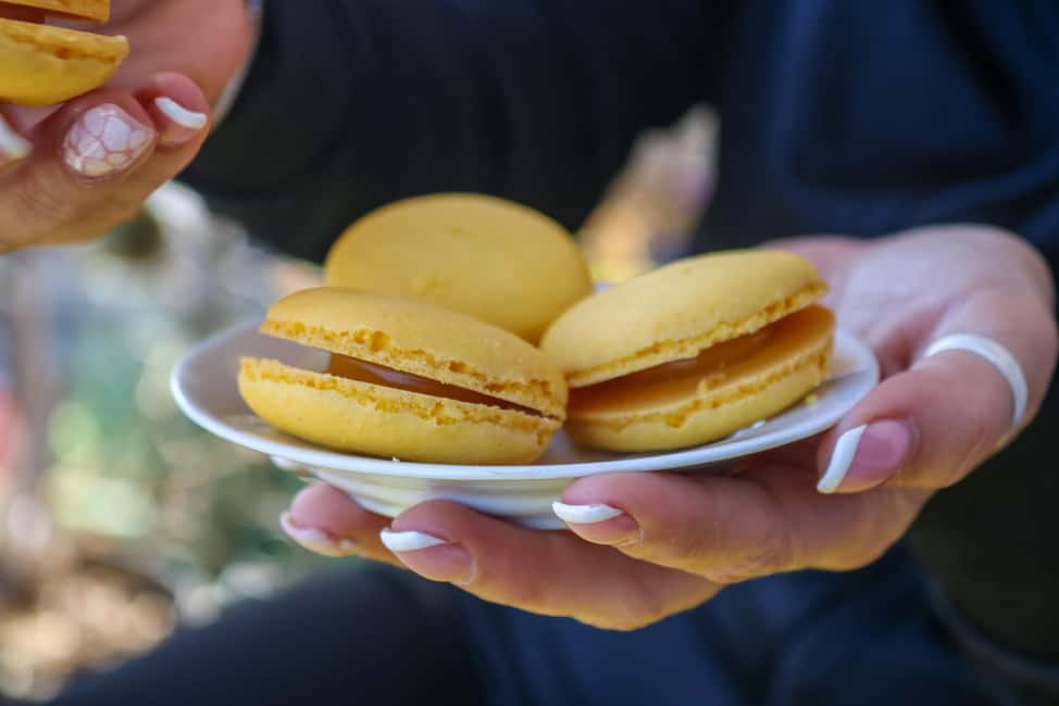Nice: Old Town Food Walking Tour - Who Should Book This Food Walking Tour—and Who Should Skip It