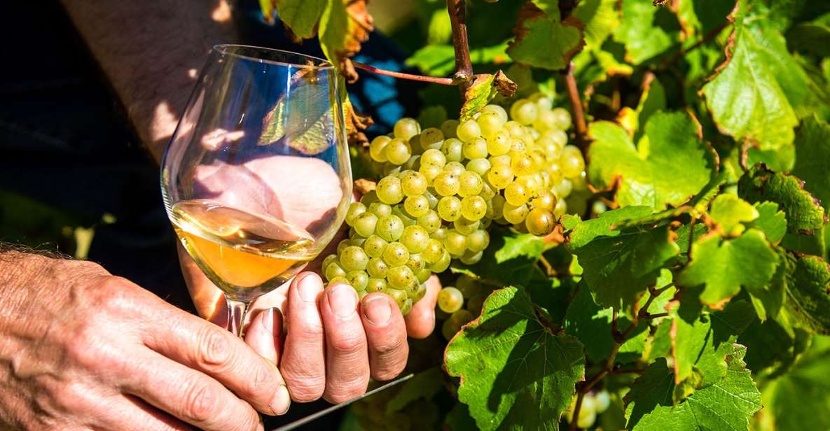 Nice: Provence Village Tour with Wine and Produce Tasting - Key Points at a Glance