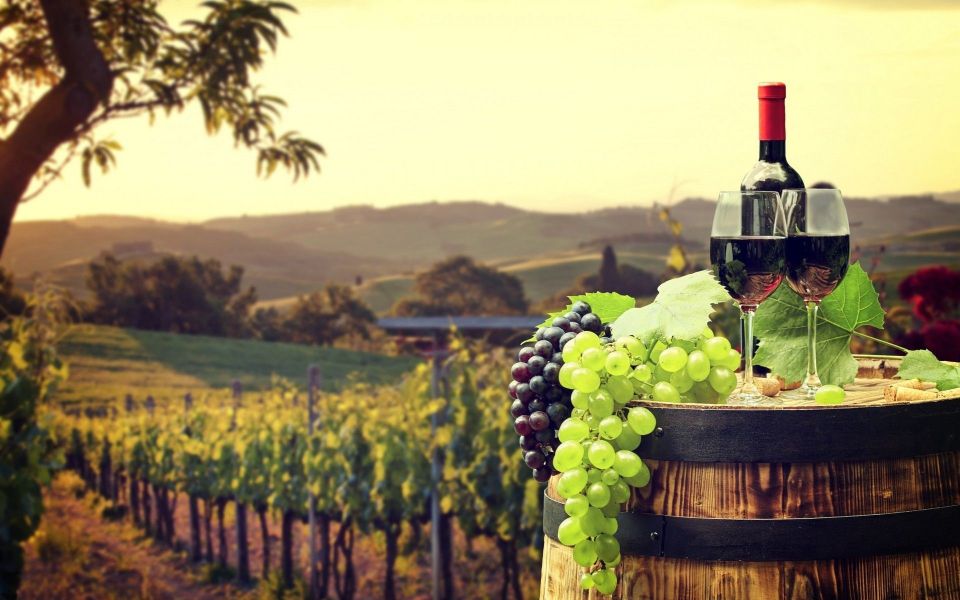 Nice: Provence Village Tour with Wine and Produce Tasting - From Nice to the Villages: How the Day Really Feels