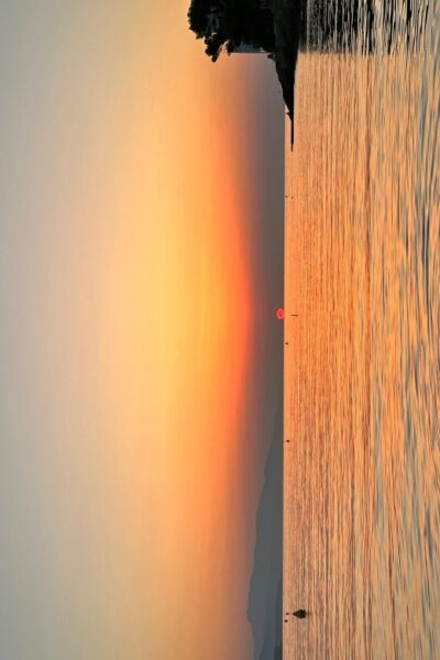 Nice: Saint Jean Cap Ferrat Sunrise Boat Trip with Breakfast - Saint-Jean-Cap-Ferrat at first light: dolphins, creeks, and a protected-water feel