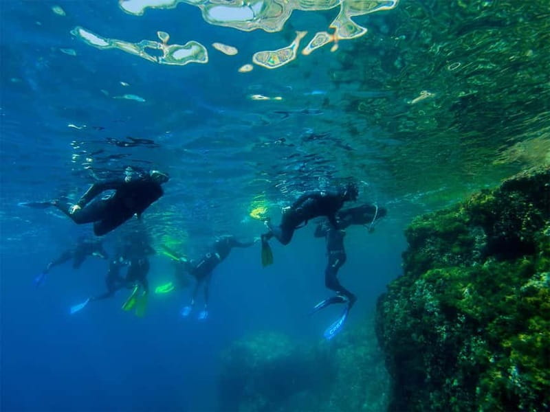 Nice: Snorkeling Speedboat Tour in Villefranche Bay - Speedboat Views: Cape of Nice, Saint-Jean-Cap-Ferrat, and the Bay