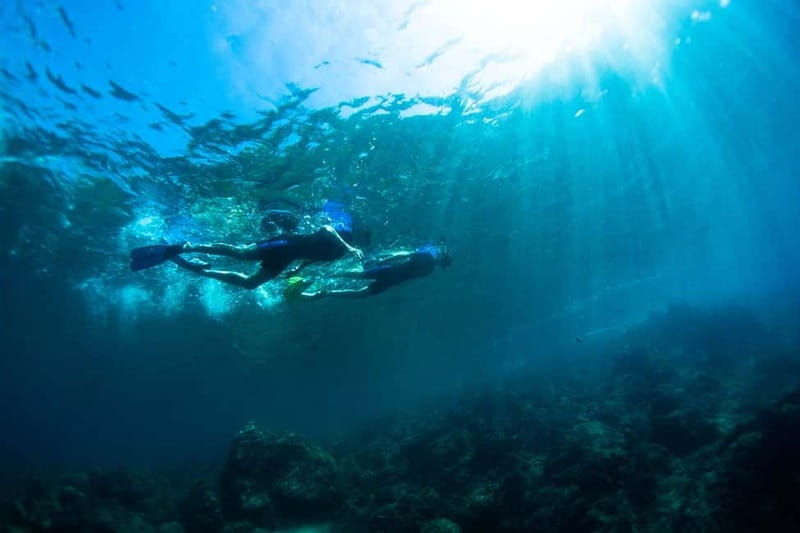 Nice: Snorkeling Speedboat Tour in Villefranche Bay - The speedboat cruise (about 10–15 minutes each way): short, scenic, and worth it