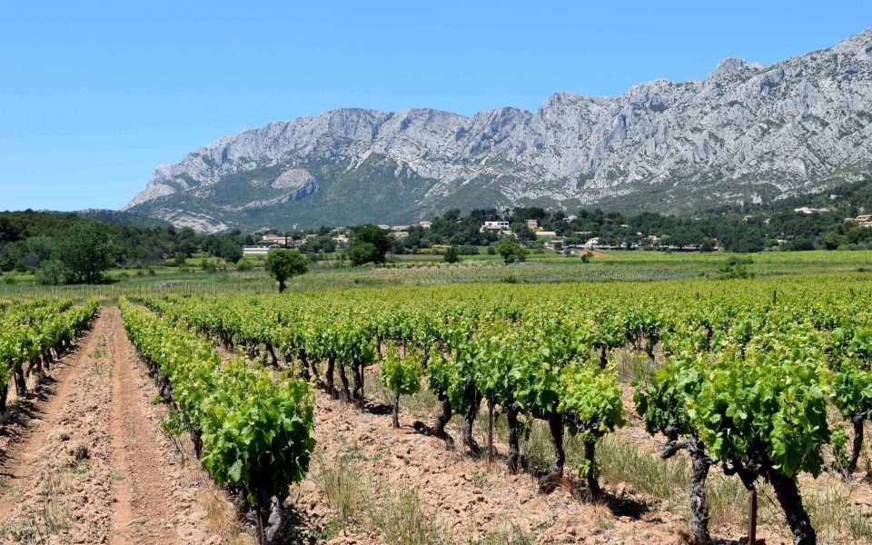 Private Day Trip to Provence and Lavender Fields - Price and Value: Is $1,285 for Up to 8 Worth It?