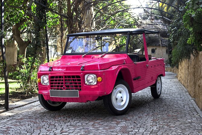Private excursion from Villefranche in Citroën Méhari to Eze and Monaco - Who this private Eze + Monaco Méhari trip suits best