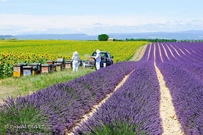 Private Tour of Gorges of Verdon and Fields of Lavender in Nice - Sainte-Croix-du-Verdon and Lac de Sainte-Croix: Lunch, Souvenirs, and a Swim Break