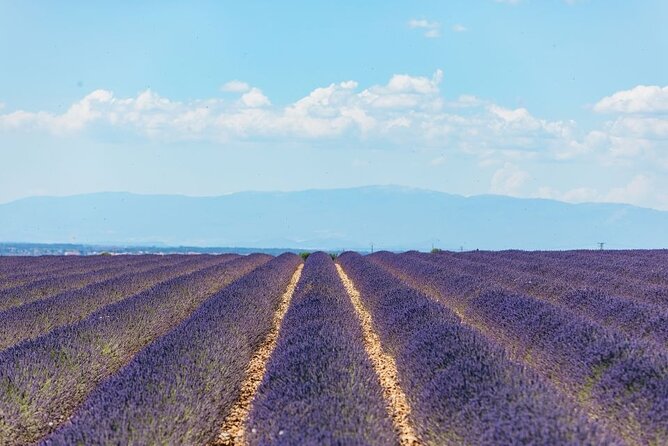 Private Tour of Gorges of Verdon and Fields of Lavender in Nice - Moustiers-Sainte-Marie: Ceramics, Cliffs, and Wandering Time